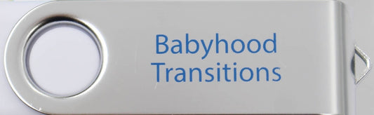 02-206 | USB Thumb Drive - The Babyhood Transitions | 4 Sessions