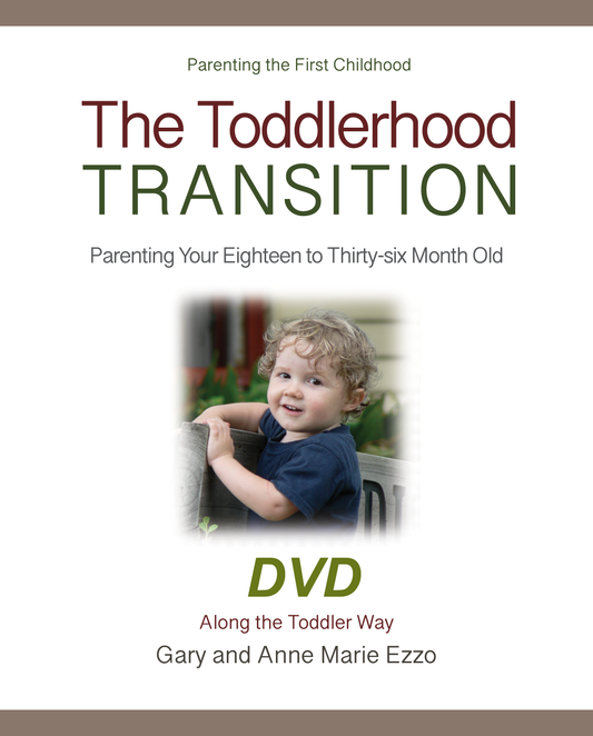 04-407 | DVD - The Toddlerhood Transition | 9 Sessions