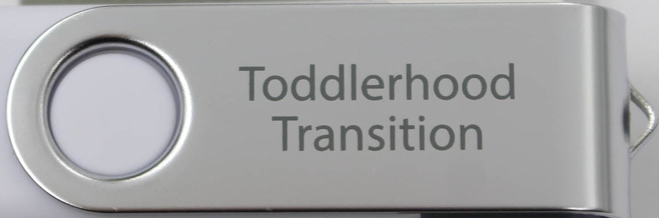 04-406  |  USB Thumb Drive - The Toddlerhood Transition | 9 Sessions